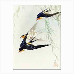 Three Birds In Full Flight, Ohara Koson Canvas Print