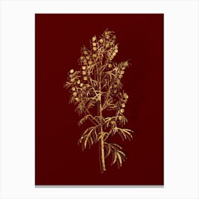 Vintage Madeira Wormwood Botanical in Gold on Red n.0401 Canvas Print