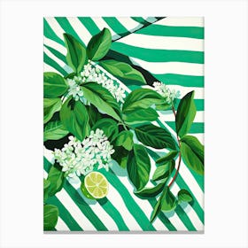 Mint Summer Illustration 9 Canvas Print