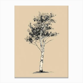 Birch Tree Minimalistic Drawing 1 Canvas Print