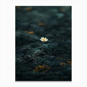 Flower In The Dirt 1 Canvas Print