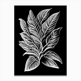 Stevia Leaf Linocut 3 Canvas Print