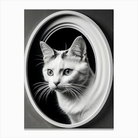 Cat 3 Canvas Print