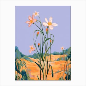 Boho Wildflower Painting Blue Eyed Grass 1 Canvas Print