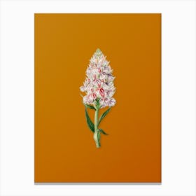 Vintage Leafy Spiked Orchis Flower Botanical on Sunset Orange n.0569 Canvas Print
