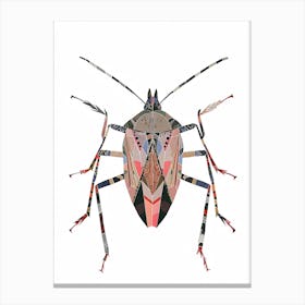 Colourful Insect Illustration Boxelder Bug 14 Canvas Print