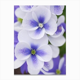 Blue And White Flowers Canvas Print