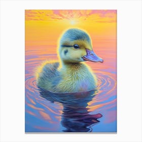 Sunset Duckling 2 Canvas Print