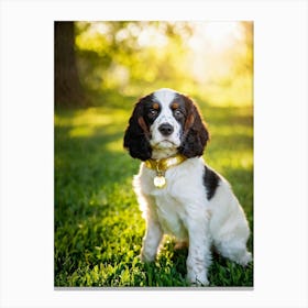 English Spaniel Puppy Radiating Adorableness Wearing A Shimmering Gold Collar Perched On A Lush G (5) Toile