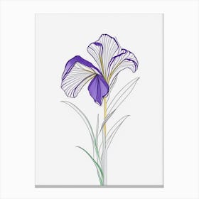Iris Floral Minimal Line Drawing 1 Flower Canvas Print