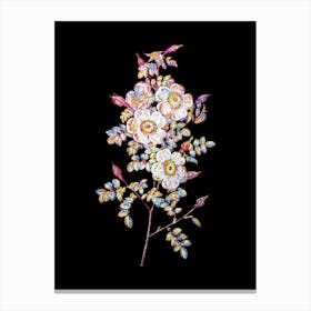 Stained Glass Thornless Burnet Rose Mosaic Botanical Illustration on Black n.0023 Canvas Print
