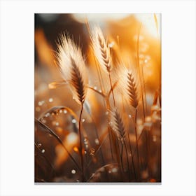 Golden Rye No 1 Canvas Print