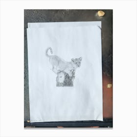 Original sketch lion cub Canvas Print