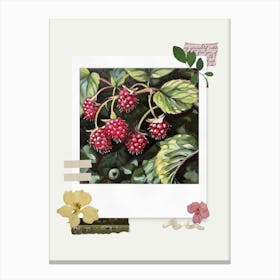 Scrapbook Raspberries Fairycore Painting 3 Canvas Print