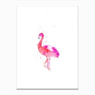 Flamingo I Canvas Print