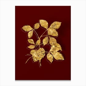 Vintage Common Hoptree Botanical in Gold on Red n.0194 Canvas Print