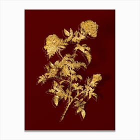 Vintage Rose of the Hedges Botanical in Gold on Red n.0013 Canvas Print