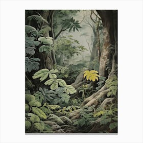 Vintage Jungle Botanical Illustration Philodendron 2 Canvas Print