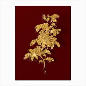 Vintage Single May Rose Botanical in Gold on Red Canvas Print