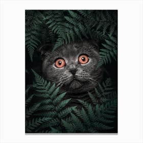 British Shorthair Cat Canvas Print