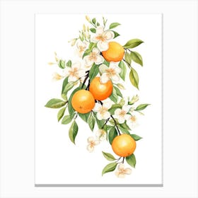 Oranges And Flowers 3 Canvas Print