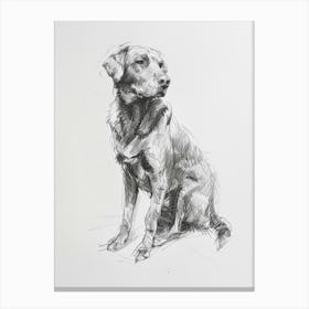 Chesapeake Bay Retriever Dog Charcoal Line 4 Canvas Print