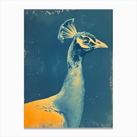 Blue & Orange Photo Style Peacock Canvas Print