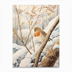 Bird Illustration Hermit Thrush 3 Canvas Print