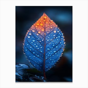 Blue Leaf With Water Droplets 14 Canvas Print