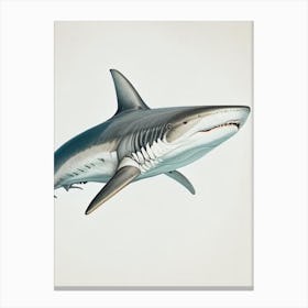 Great White Shark Vintage Canvas Print