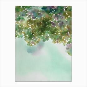 Acropora Yongei Ii Storybook Watercolour Canvas Print