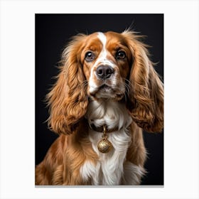 Golden And White English Cocker Spaniel Fluff Surrounding Soft Happy Gaze Purebred Demeanor Sitti (4) Toile