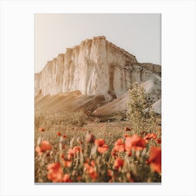 Mountain Poppy Flowers Canvas Print