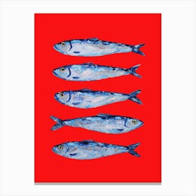 Sardines on Berry Red Canvas Print