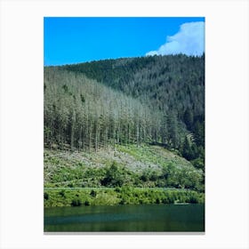 Forest and blue sky Canvas Print