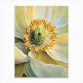 Anemone Flower 2 Canvas Print