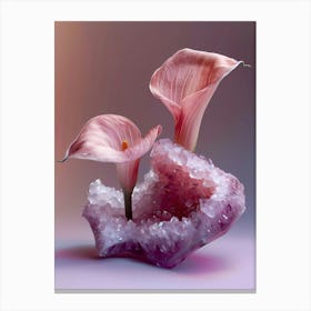 Calla Lily 1 Canvas Print