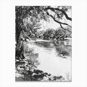 Zilker Metropolitan Park Austin Texas Black And White Drawing 1 Canvas Print