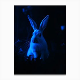 Rabbit In Forest - Diverse Art Illustration 88 Canvas Print