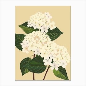 Hydrangea 11 Canvas Print