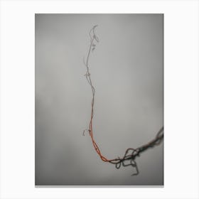 Vine In The Fog Against The Gray Sky. Minimalism Canvas Print