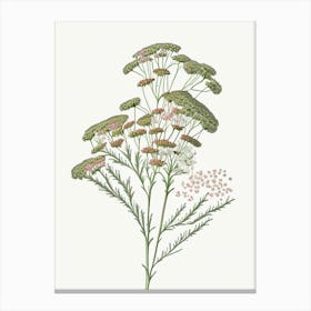 Yarrow Floral Quentin Blake Inspired Illustration 2 Flower Canvas Print