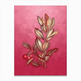 Vintage Strawberry Tree Botanical in Gold on Viva Magenta Canvas Print