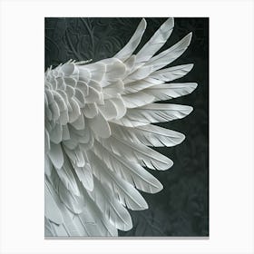 Poster Bw Wings 2 Canvas Print