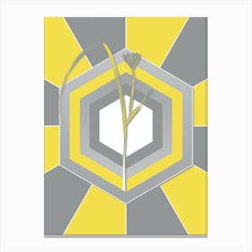 Vintage Cape Tulip Botanical Geometric Art in Yellow and Gray n.233 Canvas Print