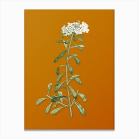 Vintage Small White Flowers Botanical on Sunset Orange n.0672 Canvas Print