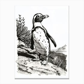 African Penguin Exploring 3 Canvas Print