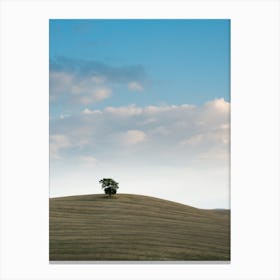 Lone Tuscan Tree Canvas Print