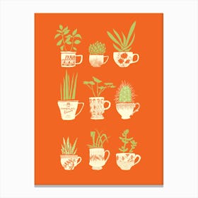 Teacup Succulents Canvas Print