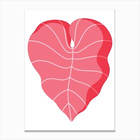 Heart Shaped Leaf 1 Canvas Print